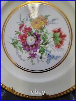Paragon Golden Harvest Style Cabinet Plates Set Of 8 Luncheon Botanical Floral