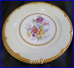 Paragon Golden Harvest Style Cabinet Plates Set Of 8 Luncheon Botanical Floral
