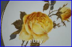Pointons D23 Hand Painted Large Yellow Rose Raised Gold Platinum 9 Inch Plate A