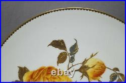 Pointons D23 Hand Painted Large Yellow Rose Raised Gold Platinum 9 Inch Plate A