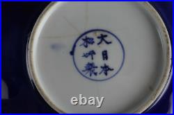 Rare 18th century Antique Japanese Chinese export porcelain blue and Gold plates