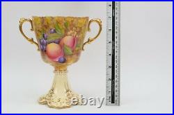 Rare Aynsley China Orchard Gold Twin Handled Cup Vase Fruit Group by Jones Circa