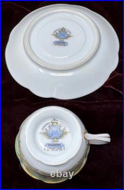 Rare Victorian Gold Floral 12 pc Demitasse Espresso Cup & Saucer Noritake Albany
