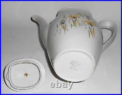 Rorstrand Porcelain China Floral withGold Garden Coffeepot
