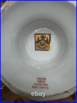 Royal China Limoges French Hand Painted 24k Gold Encrusted Tea Serving Set, EUC