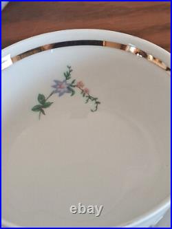 Royal Kent Poland Porcelain China Bavarian Rose 31 Piece Formal Dining Set