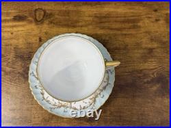 Royal Tettau Duchess Blue Green 39 Pc China Set Germany 1794 8 Place Settings