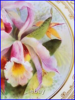 Royal Worcester Cabinet Plate Hand Painted Orchids Heavy Gold Vintage Antique