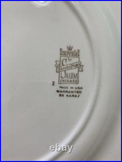 Salem China Co. Imperial Service Collector Plate Porcelain Gold Trim Victorian
