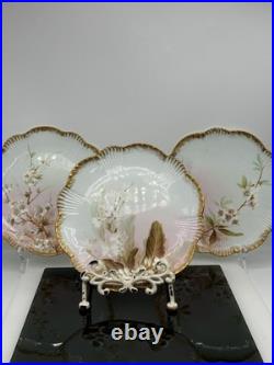 Set Of 3 Hand Painted Vintage Aynsley Plates Trimmed In Gold Gilt Excellent Cond