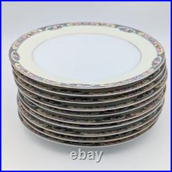 Set of 10 Discontinued Thomas Bavaria Fine Porcelain 10 Dinner Plates #3816