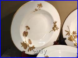 Set of 5 BROWNFIELD's Gold Fine China Plates ca. 1884 For Gilman Collamoer
