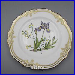 Spode Bone China STAFFORD FLOWERS Dinner Plates Set of Two