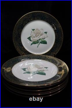 Stradford Chantilly Dark Green Gold Filigree White Rose 7 Dinner Plates 10 1/4