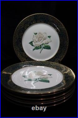 Stradford Chantilly Dark Green Gold Filigree White Rose 7 Dinner Plates 10 1/4