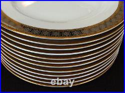 Stunning Thun Platinum with Gold by Baum Bros 14 Dinner Plate 10 3/8