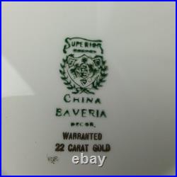 Superior China Bavaria (baveria) Warranted 22 Carat Gold Dinner Set (71 Pieces)