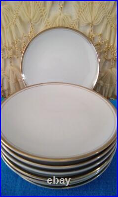 Vintage Golden Elegance Pattern by Royalton China Co. Translucent Fine Porcelain