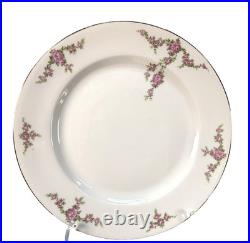 Vintage Heinrich & Co Rosalinda Bavaria China Set 38pc Pink Rose Gold Trim