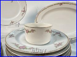 Vintage Heinrich & Co Rosalinda Bavaria China Set 38pc Pink Rose Gold Trim