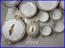 Vintage Limoges France Porcelain Dinnerware Set 36 Pc Rose Garland Gold Trim