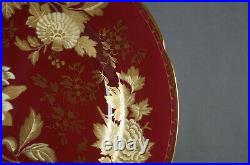 Wedgwood Tonquin Ruby Dark Red & Gold Floral 11 Inch Bone China Dinner Plate C
